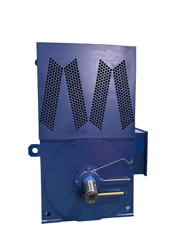 High Voltage Industrial Pump Motor