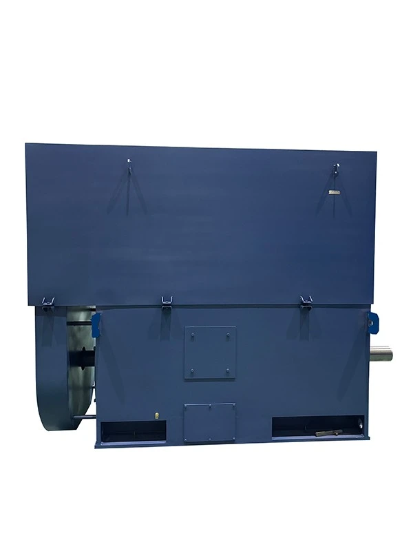 High Voltage Industrial Pump Motor