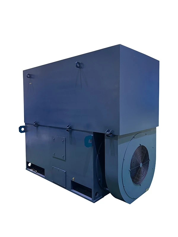 High Voltage Industrial Pump Motor